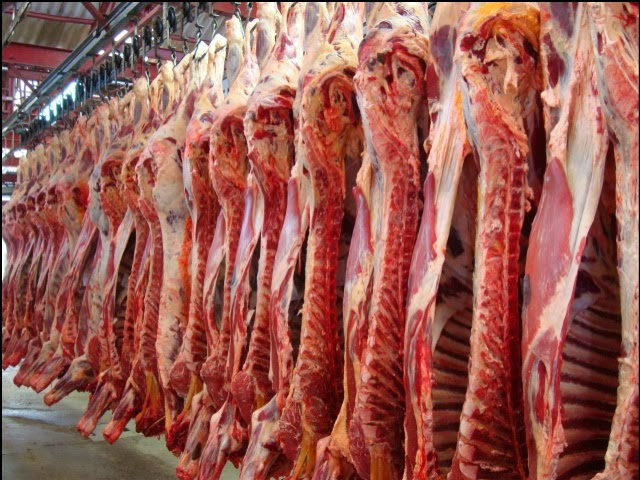 Carne é setor de maior potencial de investimento na China Foto: Divulgação