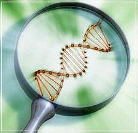 Biotecnologia agrícola sob ameaça Foto: Divulgação