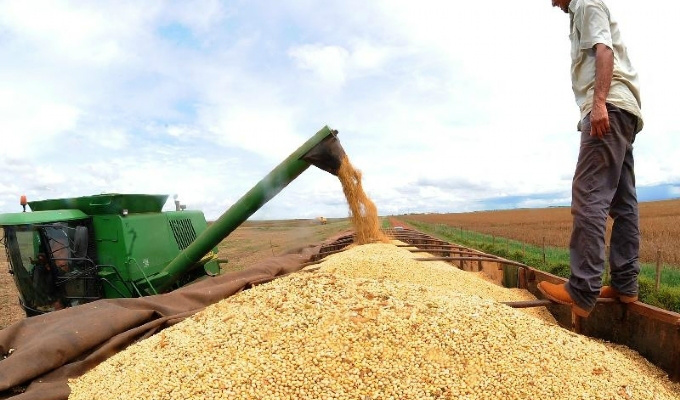 Colheita da soja chega a 59% da área no Brasil, diz AgRural Foto: Divulgação