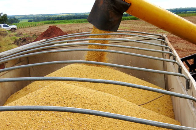 Reta final da colheita de soja em Mato Grosso do Sul Foto: Divulgação
