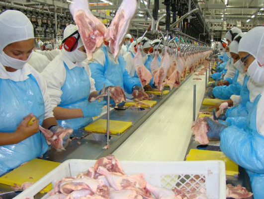 Produtividade amplia oferta de grãos e carnes no Brasil A soja deverá ter em 2022/23 uma presença de 44,2% nas vendas externas mundiais, a carne bovina, 23,3% e a carne de aves, 52,9%