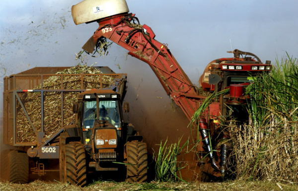 Safra de cana fica abaixo do esperado em Mato Grosso do Sul A produção do açúcar cresceu 9,70% em relação a safra anterior, com um volume de 1,74 milhão de toneladas. Foto: Divulgação.
