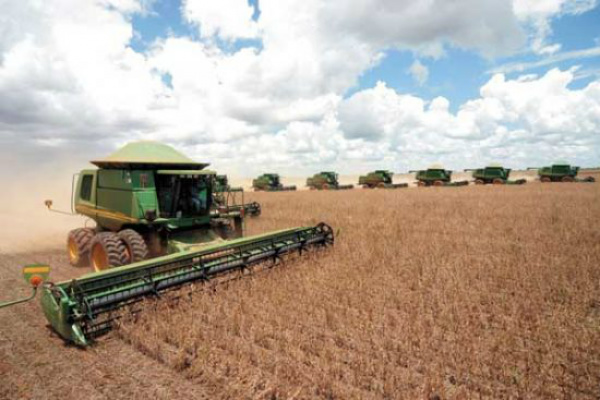 Chuvas fazem colheita de soja avançar pouco na última semana Na mesma semana de 2012 a colheita havia sido realizada em 61 por cento da área plantada no país.Foto: Divulgação.