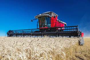 Colheitadeira MF 9695