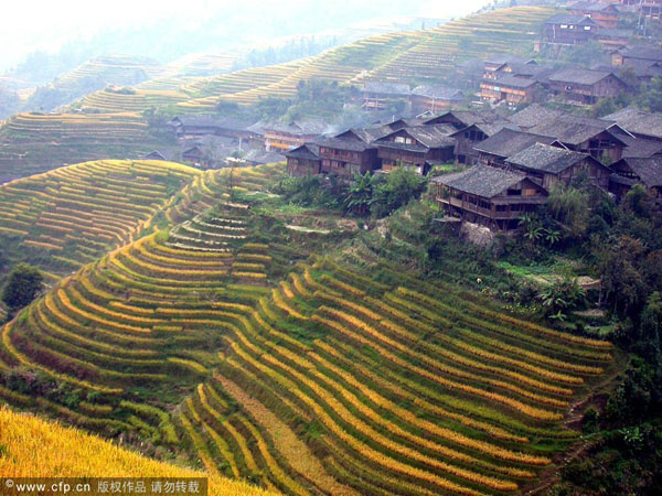 Embrapa participa de evento mundial sobre agricultura de montanha Foto: Divulgação