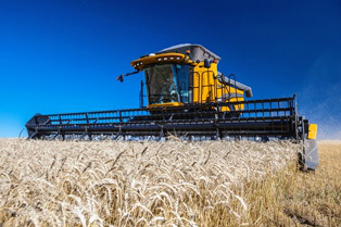 Valtra amplia família de colheitadeiras e apresenta BC6800 Foto: Divulgação