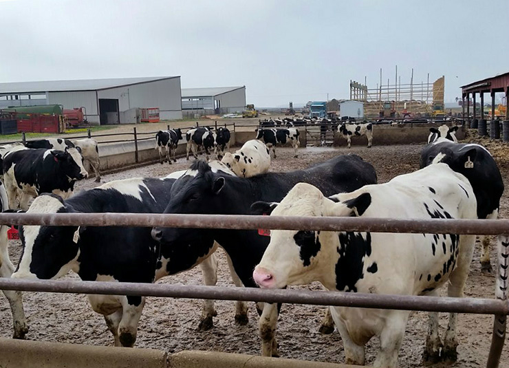 Foto: DivulgaçãoFoto: Divulgação