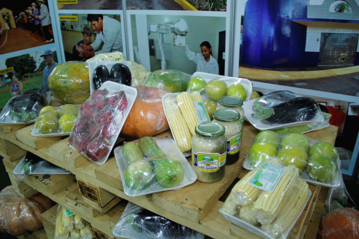 Na 51ª Expoagro, Prefeitura mostra a agricultura familiar de Dourados Foto: DivulgaçãoLegenda: Produção agropecuária de Dourados é mostrada no estande da Prefeitura na Expoagro, dentro da Exposhopping