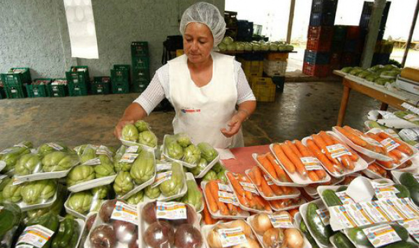 O valor individual será de até R$ 50 mil por organização proponente