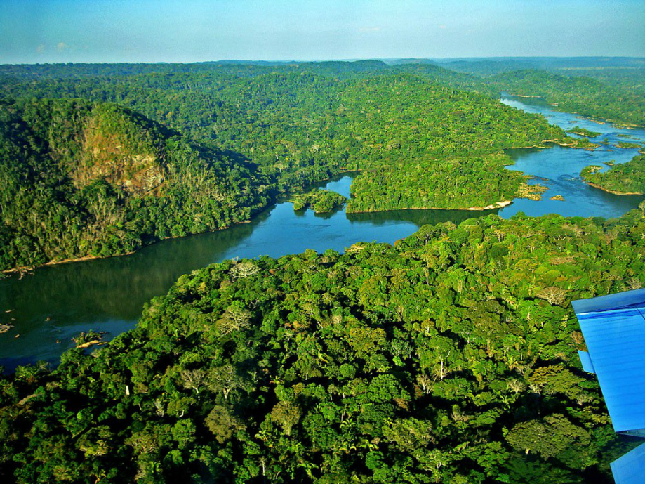 Pesquisa feita em Mato Grosso ganhou prêmio internacional no México Foto: Divulgação