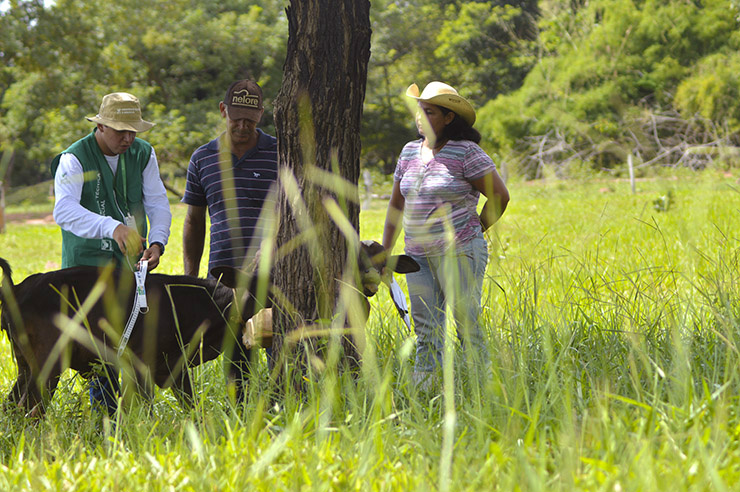 Atualmente, 12 produtores participam do programa ATER Mais Leite em Glória de Dourados (MS)