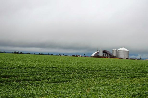Governo Federal lança Plano Agrícola e Pecuário 2015/2016 Foto: Divulgação