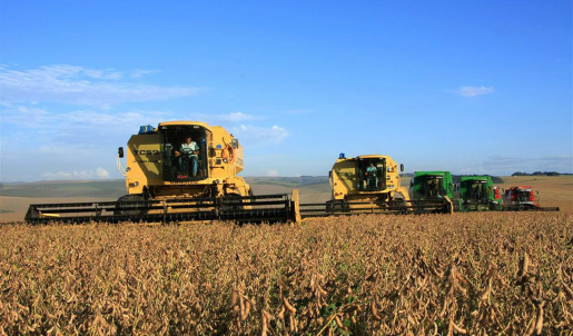 Agricultura do Brasil busca estabelecer planejamento plurianual Foto: Divulgação