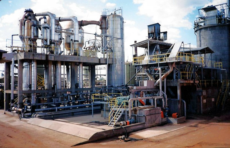 Mato Grosso do Sul terá uma terceira fábrica de celulose Foto: Divulgação