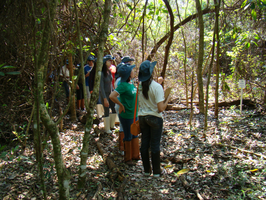 Embrapa contribui para agropecuária gerar ativos ambientais Foto: Divulgação