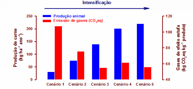 Pecuária brasileira emite menos gases de efeito estufa do que o estimado pelo IPCC Pecuária brasileira emite menos gases de efeito estufa do que o estimado pelo IPCC