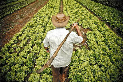 "Dia do Produtor" será realizado em Três Lagoas (MS) em 17/6, durante a Expotrês Foto: Divulgação