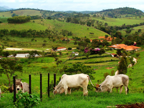 Produtos agropecuários no atacado barateiam 0,50% em junho, diz a FGV