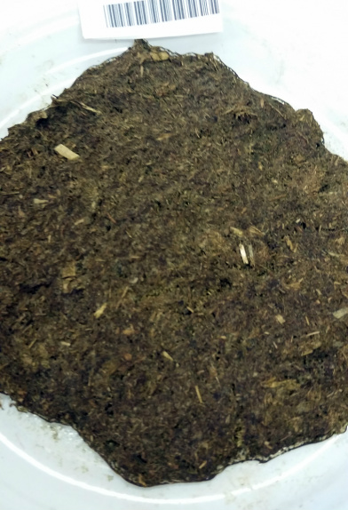 Análise de amido fecal como instrumento da nutrição animal Foto: Divulgação