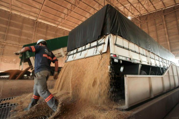 Até a quarta semana de março, exportação de soja atingiu 2,79 milhões de toneladas.Foto: Fábio Gomes / Especial