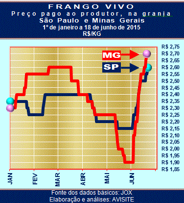 2ª quinzena não impede continuidade das altas do frango vivo Foto: Divulgação