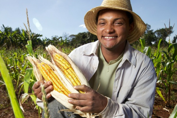 Crescem exportações de alimentos brasileiros em março Milho apresenta alta de 613,7% no valor das vendas em relação ao mesmo período de 2012