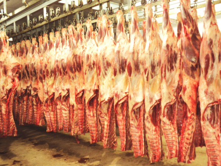 Carne bovina: alta de preços no atacado sem osso Foto: Divulgação