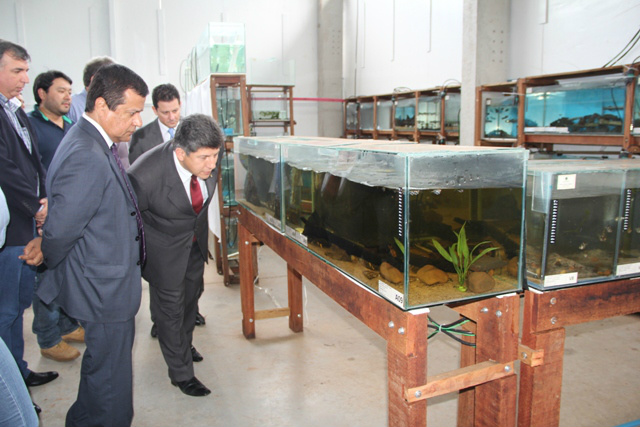 Comissão apura mortes de peixes do Aquário do Pantanal Foto: Divulgação