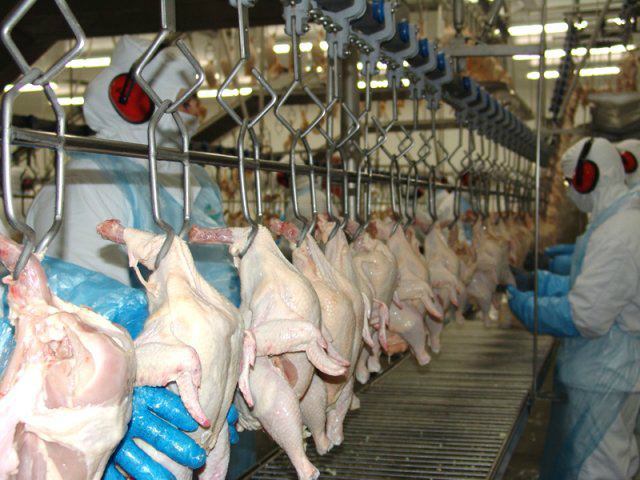 México renova autorização para compra de carne de aves brasileiras