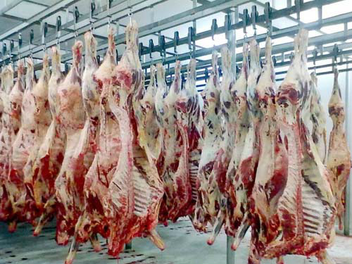 Exportações: Japão vai inspecionar frigoríficos brasileiros de carne bovina em agosto Foto: Divulgação