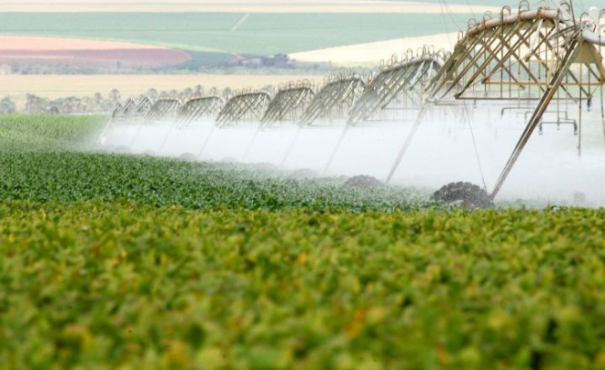 Foto: Irrigação