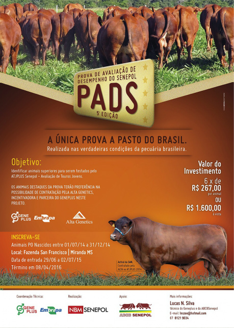 Programa Geneplus-Embrapa apresenta resultados de prova de avaliação de Senepol Foto: Divulgação