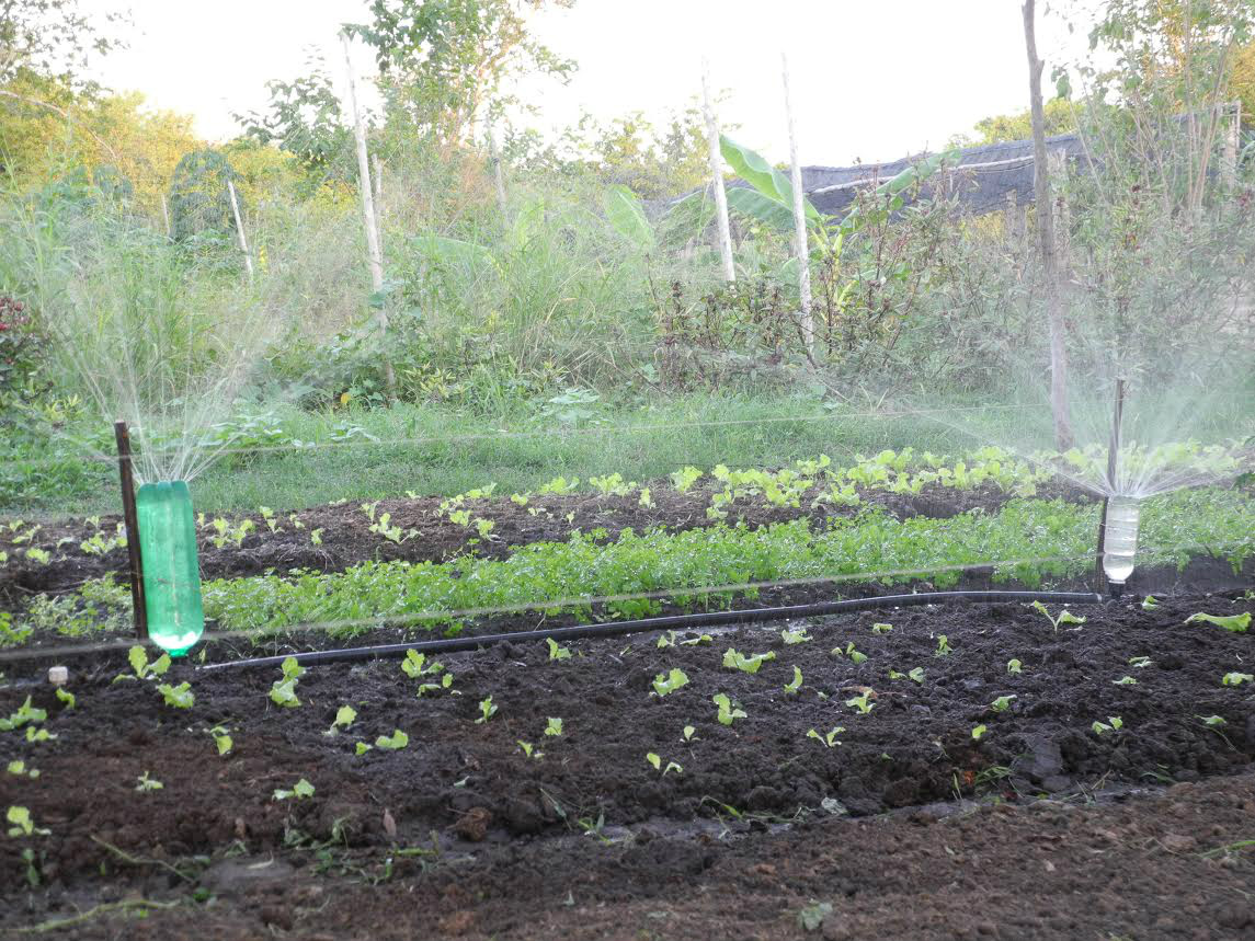 Tecnologias de baixo custo são destaque em Feira Agroecológica de Sementes Nativas e Crioulas no MS