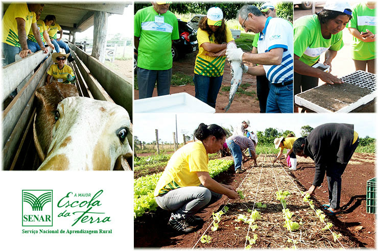 Senar/MS quer oferecer 26 cursos do Pronatec ainda em 2015 Foto: Divulgação
