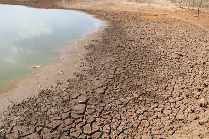 Aumento da fertilidade do solo e adoção de práticas conservacionistas são estratégias em cenário de seca Foto: Divulgação