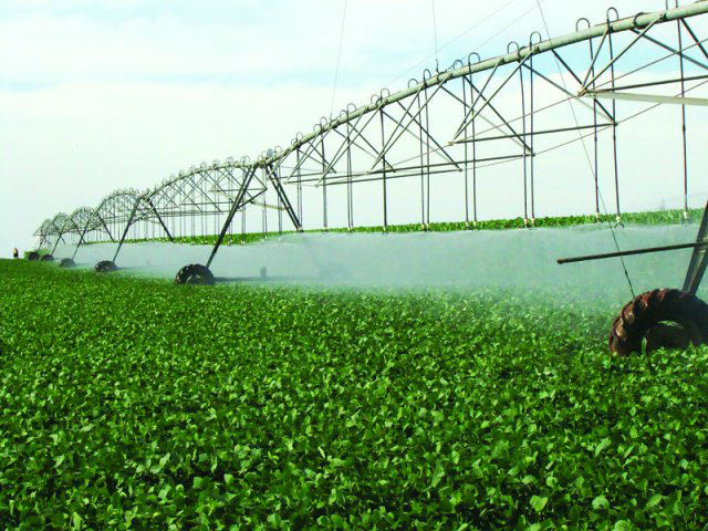 Senado aprova em primeiro turno prioridade para irrigação no Nordeste e Centro-Oeste até 2028 Foto: Divlgação