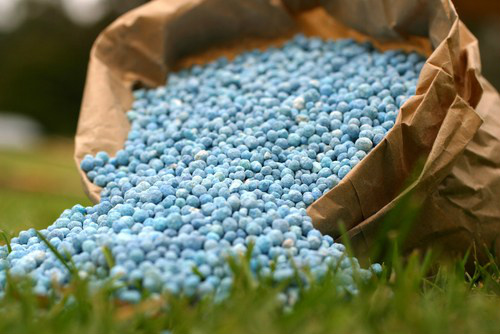 A importância do solo e dos fertilizantes para a segurança alimentar Foto: Divulgação
