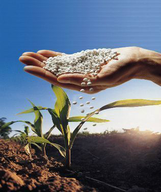 Vendas estáveis de insumos para reprodução