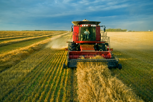 Falta de acesso a crédito afeta venda de insumos