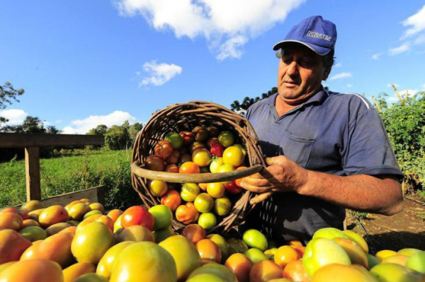 Vist, de Caxias, comemora a maior valorização em 30 anos.Foto: Porthus Junior / Agencia RBS