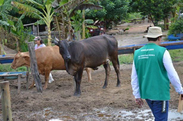 Assistência Técnica do Senar terá R$ 19 milhões para atender produtores de leite de 5 estados Foto: Divulgação