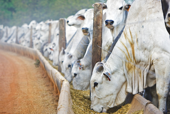 Comprador está retraído no mercado de reposição Foto: Divulgação