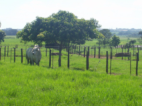 Ministro da Justiça propõe mediação para solucionar litígios de terra em MS Foto: Divulgação