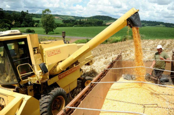 Expectativa da Conab é de que o país exporte 15 milhões de toneladas de milho em 2013.Foto: Sirli Freitas / Agencia RBS