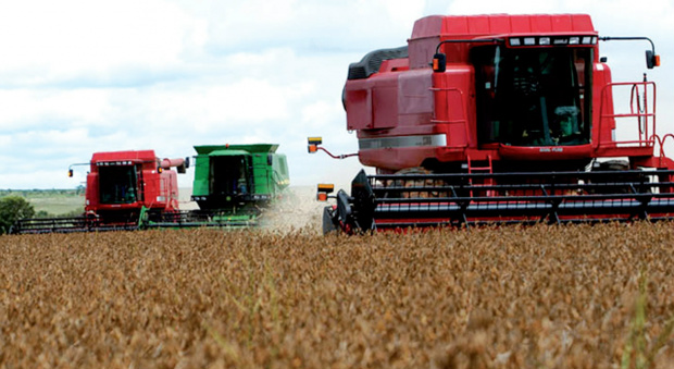 Agronegócio brasileiro dribla a retração na economia chinesa Foto: Divulgação