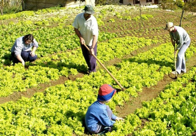 Técnicos são capacitados para implantação de ILP e ILPF no Sudeste Técnicos são capacitados para implantação de ILP e ILPF no Sudeste