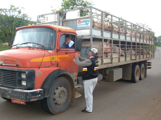 ABPA: novas regras para trânsito de suínos são necessárias, avalia Rui Vargas Foto: Divulgação