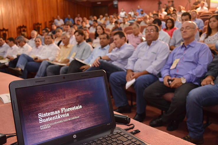 Programa Mais Florestas será realizado em Dourados