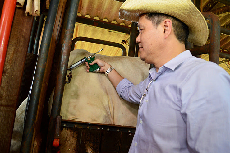 Planalto e Pantanal devem imunizar rebanho de 7,8 mi na etapa de novembro Planalto e Pantanal devem imunizar rebanho de 7,8 mi na etapa de novembro