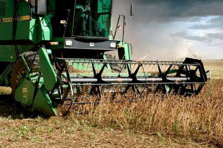 Safra da soja registra aumento de 20% em Mato Grosso do Sul A colheita acabou e o balanço final não alcançou o esperado.